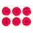 Gepreserveerde Roos | Kleur: Fuchsia | Diameter 6 centimeter | Per 6 rozen