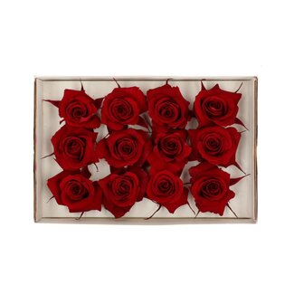 4A Gepreserveerde Rozen | Kleur: Rood | Diameter 4 centimeter | Per 12 rozen