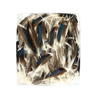 4A Duck Feathers | Colour: Brown | Weight 45 gram | Per bag of feathers