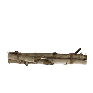 4A Getrocknete Birkenzweige | Farbe: Hellbraun | Trocken-Dekoration | Länge ± 30 centimeter | Pro 3 Zweige