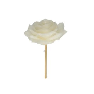 4A Rose en cire sur tige | Couleur: crème | Rose sur pique | Diamètre 10 centimeter | Longueur ± 25 centimeter | Par 12 piques