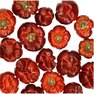 4A Droogvrucht mini Pompoen | Kleur: Rood | Gewicht 100 gram per zak | Per 5 zakken