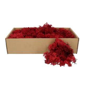 4A Gepreserveerd Rendiermos | Kleur: Bordeauxrood | Droogdecoratie | Gewicht 400 - 500 gram | Per doosje