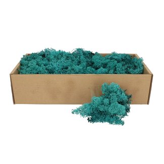 4A Konserviertes Rentiermoos | Farbe: Blau | Trockendekoration | Gewicht 400 - 500 gram | Pro Schachtel