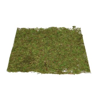 4A Gedroogde Mosmat Vierkant | Kleur: Groen | Droogdecoratie | Diameter 28 centimeter | Per mat