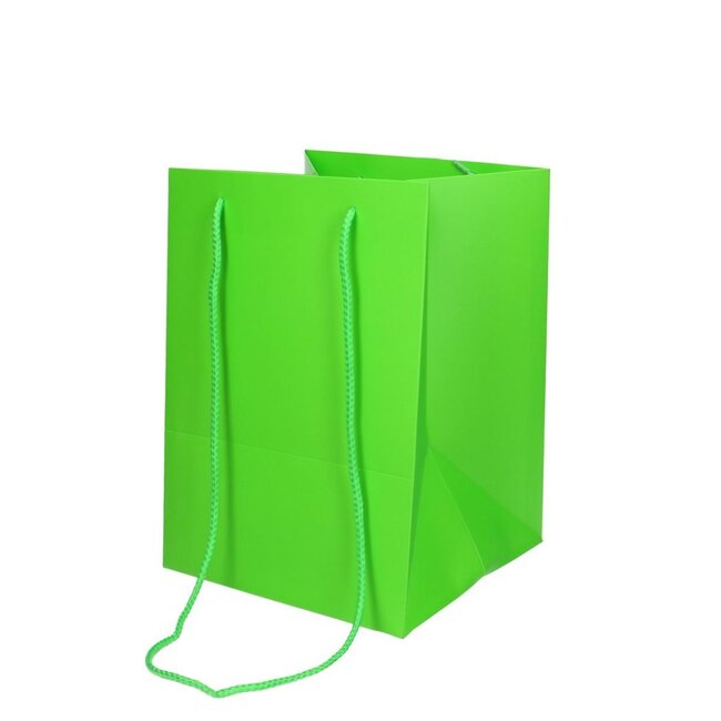 Bags “Olympic” | Colour: Apple green | Length 25 centimeter | Width 18 centimeter | Height 18 centimeter | Per 10 bags