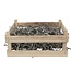 Gedroogd Bonsaihout in houten kist | Kleur: Natuurlijk Wit | Breedte 60 centimeter | Lengte 40 centimeter | Per kist
