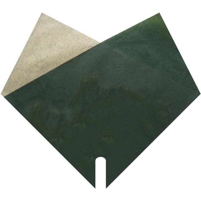 Housses Double Kraft | Couleur: Vert foncé | Longueur 35 centimeter | Largeur 35 centimeter | Par 100 housses