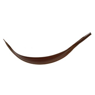 4A Gedroogd Kokosnoot Blad | Kleur: Bruin | Droogdecoratie | Lengte 27 - 40 centimeter | Per 10 bladeren