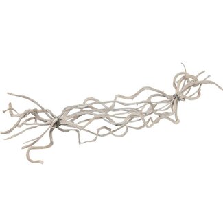 4A Getrocknete Crazy Vine Zweige | Farbe: Natürliches Weiß | Trocken-Dekoration | Länge ± 60 centimeter | 10 Zweige pro Bund | Pro Bund