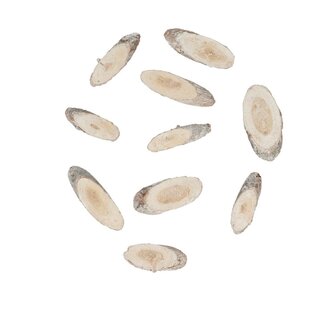 4A Gedroogde Grenen Houtschijfjes | Kleur: Natuurlijk Wit | Droogdecoratie | Per 250 gram