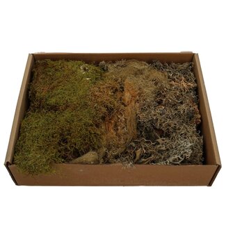 4A Gedroogd Mos Mix | Kleur: Gemengde Kleuren | Droogdecoratie | Gewicht 650 gram | Per verpakking