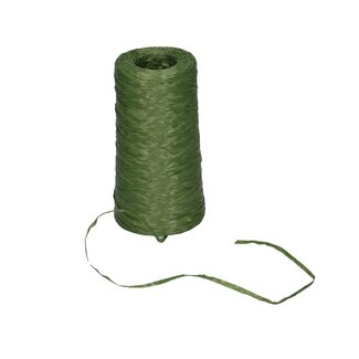 4A Binding bast | Colour: Light green | Diameter 3 millimetre | Length 500 metre | Per 3 rolls