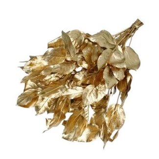 Casa Alegria Goudkleurige Salal bladeren | Lengte ± 50 centimeter | Gewicht ± 100 gram