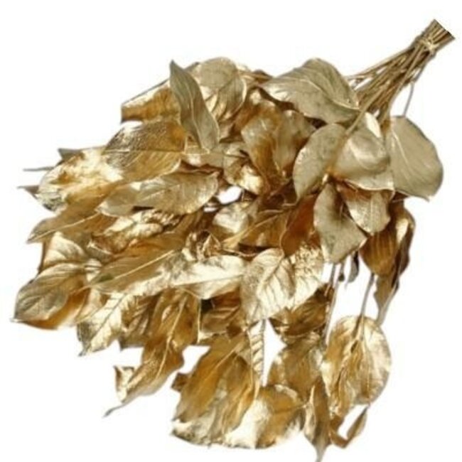 Goudkleurige Salal bladeren | Lengte ± 50 centimeter | Gewicht ± 100 gram