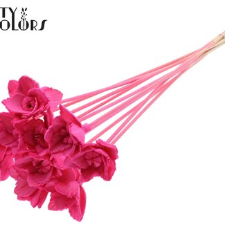 QC Shola Queen Blume am Stiel | Farbe: Kirschfarben | Shola Queen Flower | Länge ± 50 centimeter | 10 Blumenstecker pro Bund