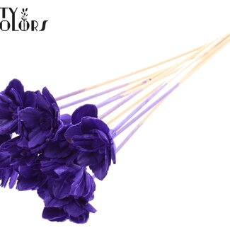 QC Shola Queen Blume am Stiel | Farbe: Lila | Shola Queen Flower | Länge ± 50 centimeter | 10 Bei-Stecker pro Bund