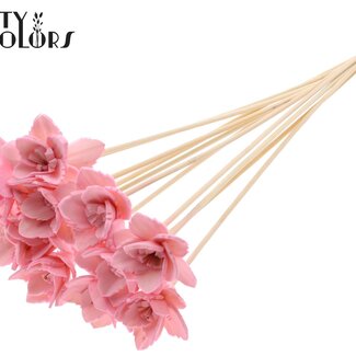 QC Shola Queen Bloem op stok | Kleur: Roze | Shola Queen Flower | Lengte ± 50 centimeter | 10 bijstekers per bos