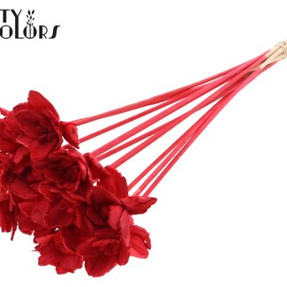 QC Shola Queen Blume am Stiel | Farbe: Rot | Shola Queen Blume | Länge ± 50 centimeter | 10 Beistecker pro Bund