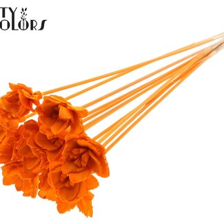 QC Shola Queen Blume am Stiel | Farbe: Orange | Shola Queen Flower | Länge ± 50 centimeter | 10 Beistecker pro Bund