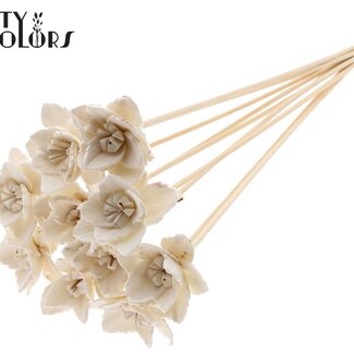 QC Shola Queen Blume am Stiel | Farbe: Natürliches Weiß | Shola Queen Blume | Länge ± 50 centimeter | 10 Stecker pro Bund