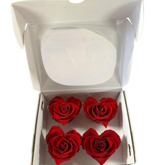 Dutch Dried Têtes de roses préservées | Couleur: Rouge | Roses classiques | Contenu 4 roses | Par boîte