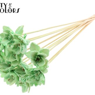 QC Shola Queen Flower on stem | Colour: Mint green | Shola Queen Flower | Length ± 50 centimetre | 10 picks per bunch