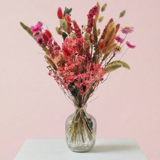 MyFlowers Bouquet de fleurs séchées "Cute Pink" | Couleur: Couleurs mélangées | Longueur ± 50 centimeter | Par bouquet