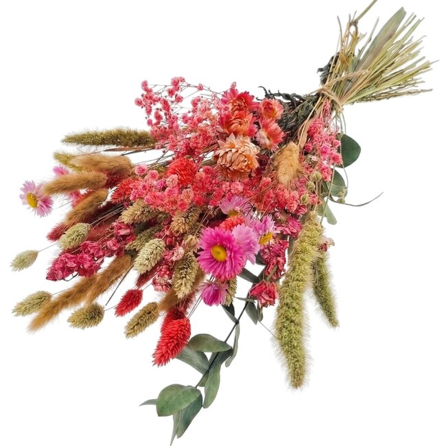 Boeket Droogbloemen "Cute Pink" | Kleur: Gemengde Kleuren | Lengte ± 50 centimeter | Per boeket