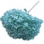 Aqua Blue Hydrangea | Preserved Hydrangea | Length ± 60 centimetres | Per piece