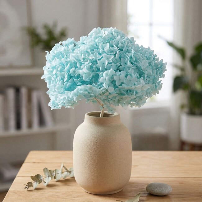 Aqua Blauwe Hydrangea | Gepreserveerde Hortensia | Lengte ± 60 centimeter | Per stuk