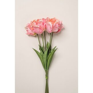 Arti Flora Perruche Tulipe Fleur artificielle | Couleur: Rose | Longueur ± 65 centimeter | 5 tiges par bouquet | Par bouquet