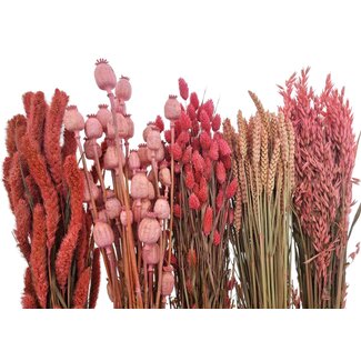 Dried Flowers DIY Set "Tiengemeten"