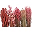 Dried Flowers DIY Set "Tiengemeten" | Five types of pink dried flowers in a box
