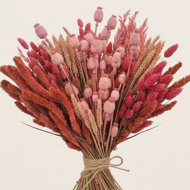 Trockenblumen DIY-Set "Tiengemeten" | Fünf Arten rosa Trockenblumen in einer Box