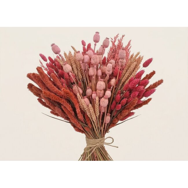 Droogbloemen DIY set "Tiengemeten" | Vijf soorten roze droogbloemen in een box