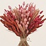 Dried Flowers DIY Set "Tiengemeten" | Five types of pink dried flowers in a box