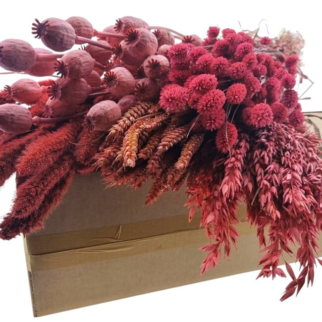 Set de bricolage de fleurs séchées "Tiengemeten" | Cinq types de fleurs séchées roses dans une boîte