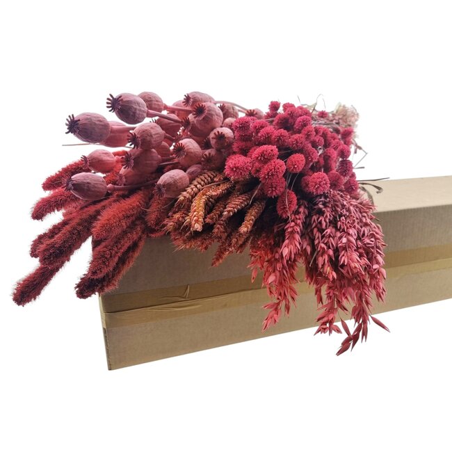 Dried Flowers DIY Set "Tiengemeten" | Five types of pink dried flowers in a box