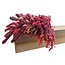 Dried Flowers DIY Set "Tiengemeten" | Five types of pink dried flowers in a box
