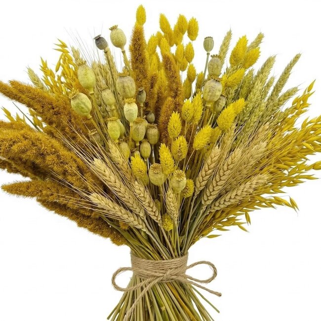 Kit DIY de fleurs séchées "Schokland" | Cinq types de fleurs séchées jaunes dans une boîte