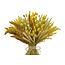 Dried Flowers DIY Set "Schokland" | Five types of yellow dried flowers in a box