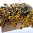 Dried Flowers DIY Set "Schokland" | Five types of yellow dried flowers in a box