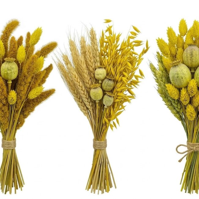 Kit DIY de fleurs séchées "Schokland" | Cinq types de fleurs séchées jaunes dans une boîte