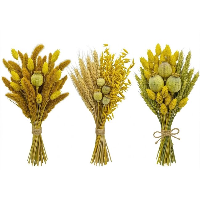 Droogbloemen DIY set "Schokland" | Vijf soorten gele droogbloemen in een box