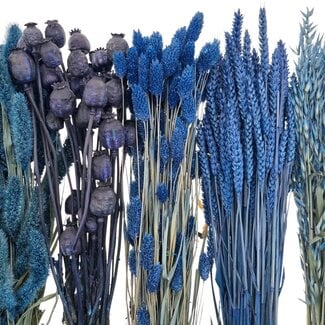 Dried Flowers DIY Set "Rottumerplaat"