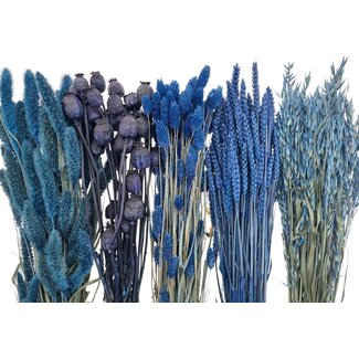 Droogbloemen DIY set "Rottumerplaat"