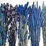 Dried Flowers DIY Set "Rottumerplaat" | Five types of blue dried flowers in a box