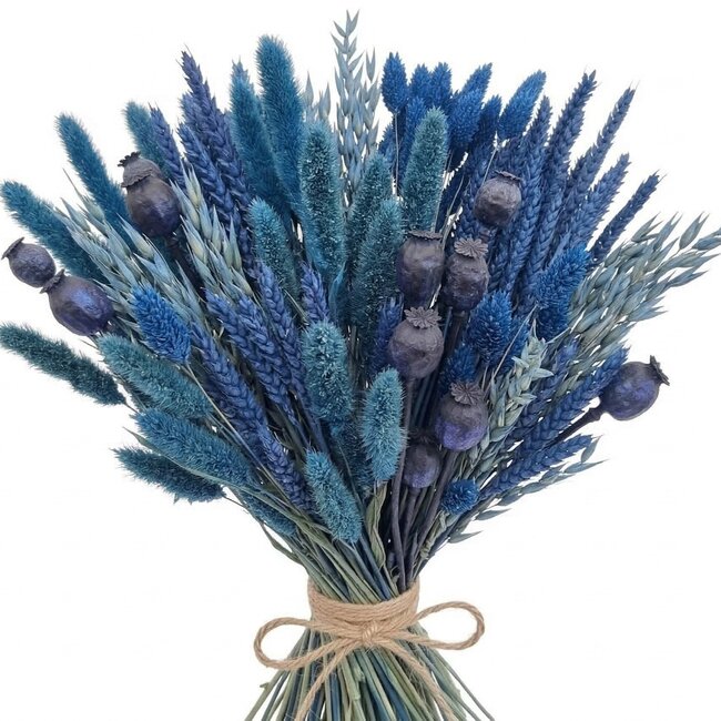 Set de bricolage de fleurs séchées "Rottumerplaat" | Cinq types de fleurs séchées bleues dans une boîte