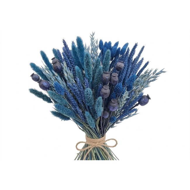 Droogbloemen DIY set "Rottumerplaat" | Vijf soorten blauwe droogbloemen in een box